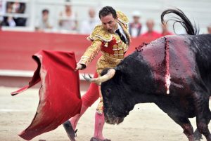 A Big Bullfight (2018)